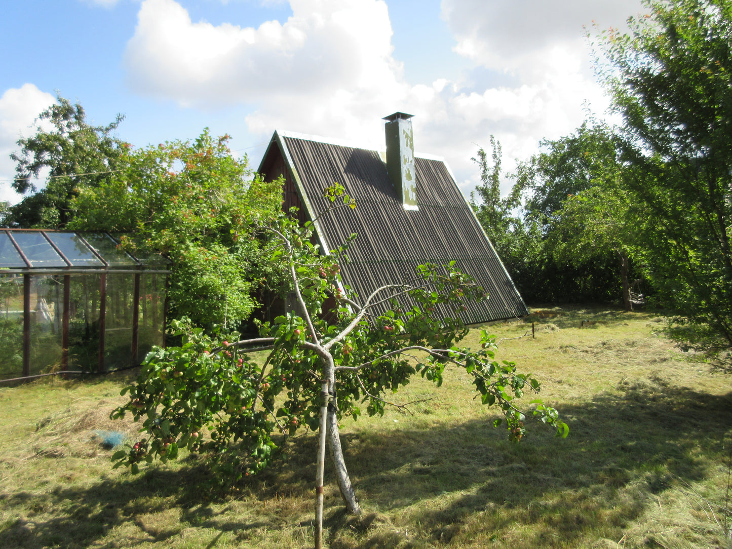 Ventspils, Kraujas 30k 275A