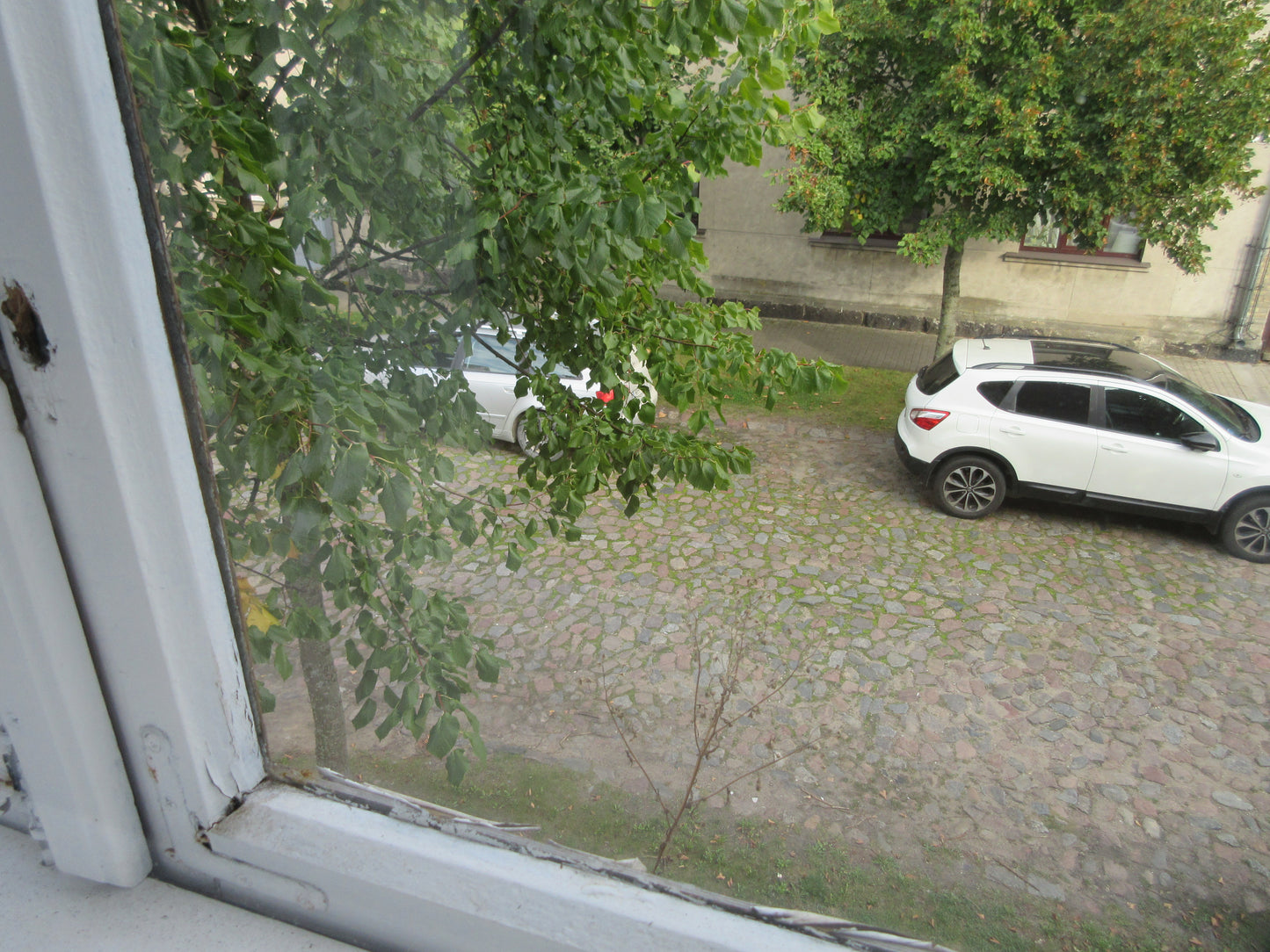 Ventspils, Liepu iela 2/4