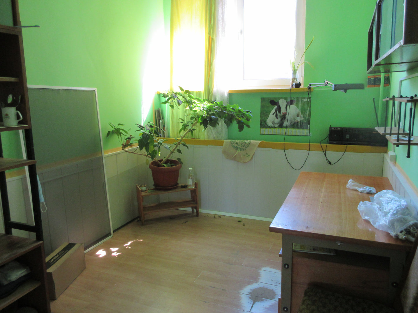 Ventspils, Rindas iela 50
