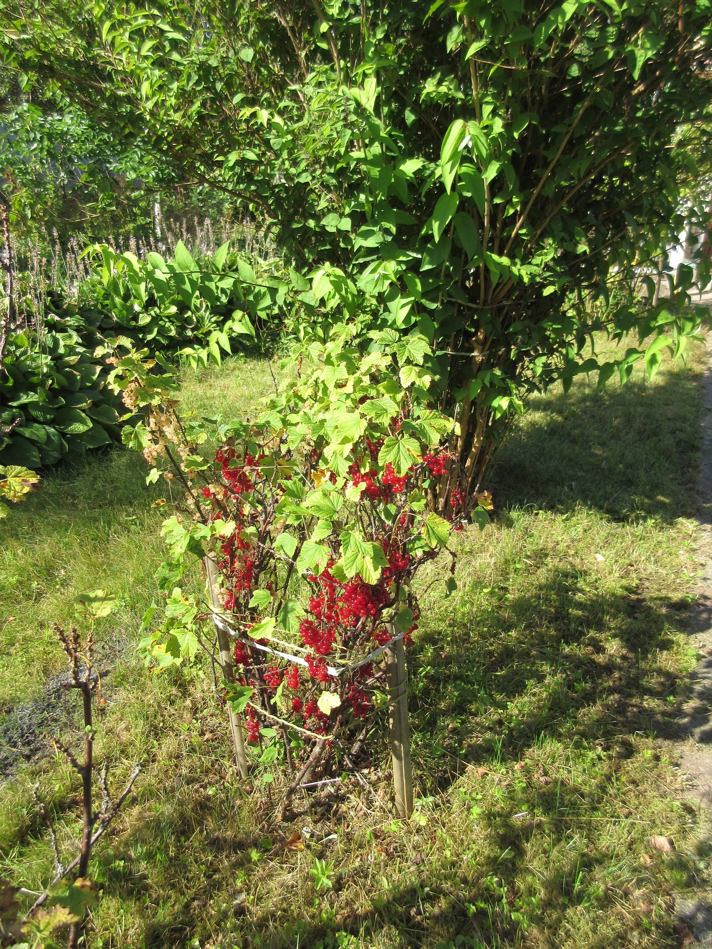 Ventspils nov., Akmeņdziras, Augļu iela 141