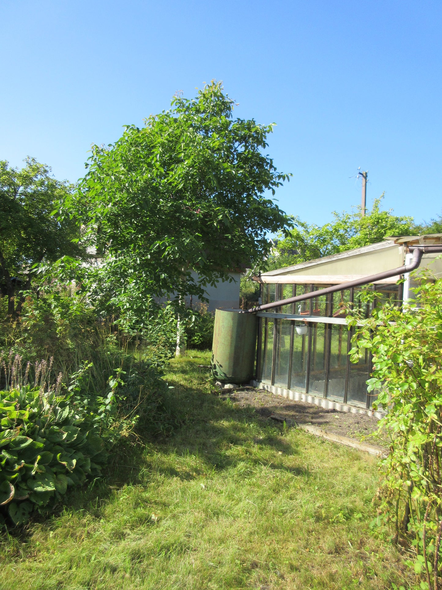 Ventspils nov., Akmeņdziras, Augļu iela 141