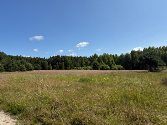 Ventspils, Selgas iela 42