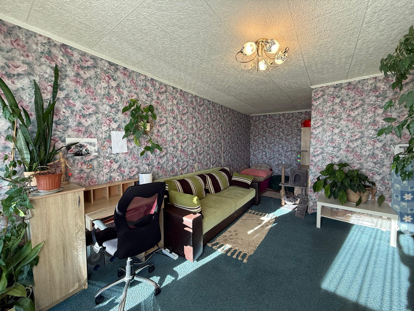 Ventspils, Talsu iela 58