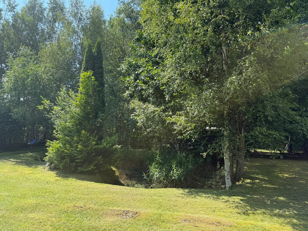 Ventspils nov., Tārgales pag., Akmeņdziras, Priedes 128, 129