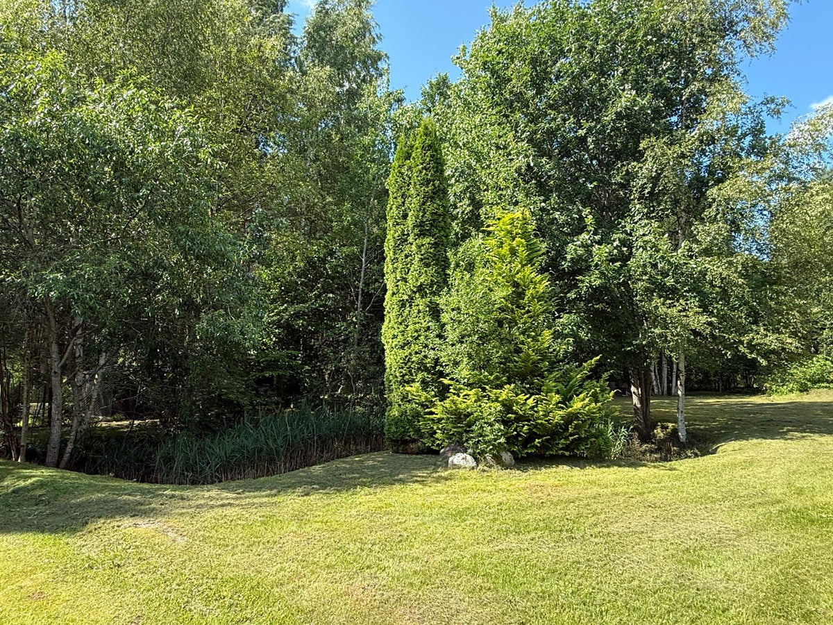 Ventspils nov., Tārgales pag., Akmeņdziras, Priedes 128, 129