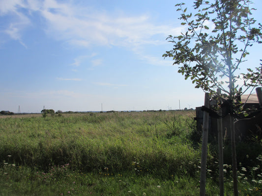 Ventspils, Rotas